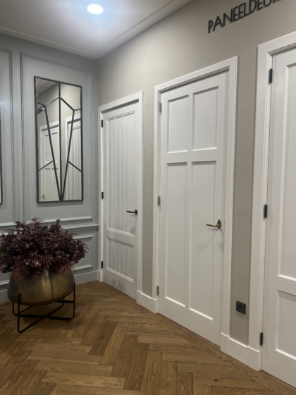 Witte paneeldeuren en spiegel in hal.